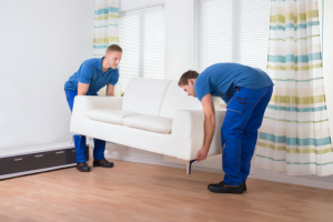 Domestic Removals
